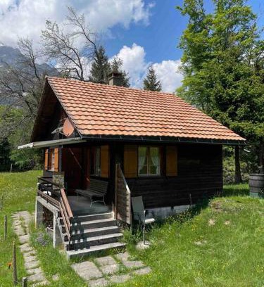 Netstal Apartamento | Behagliches Chalet mit Kaminofen umgeben von Natur