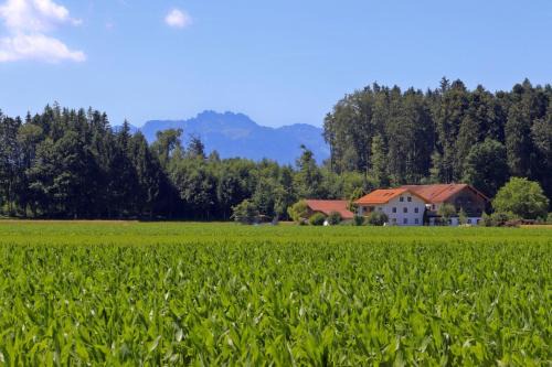 Chieming Casa | Beim Lenglacher