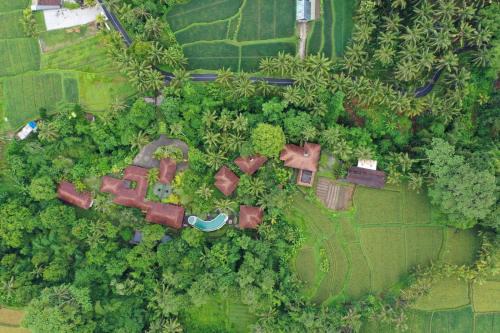 Melayang Complejo | BeingSattvaa Luxury Ubud