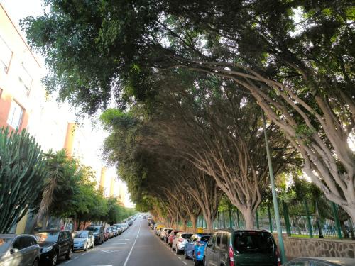 Las Palmas de Gran Canaria Apartamento | Beis House