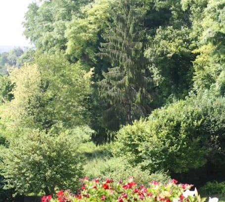 Aubeterre-sur-Dronne Casa | Bella Vista