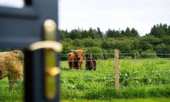 Fort William Apartamento | Ben Nevis Pod in the town of Fort William
