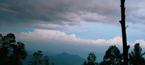Vattakanal Casa | Berna home stay
