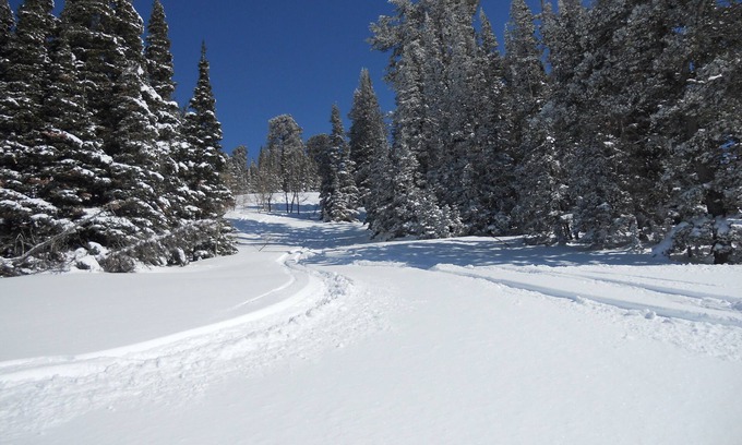 Powder Ridge Village Condominio | ¡¡Mejor trato!! 2BR / 2BA Ski-in / out en Powder Mountain - Alojamiento raro en ladera