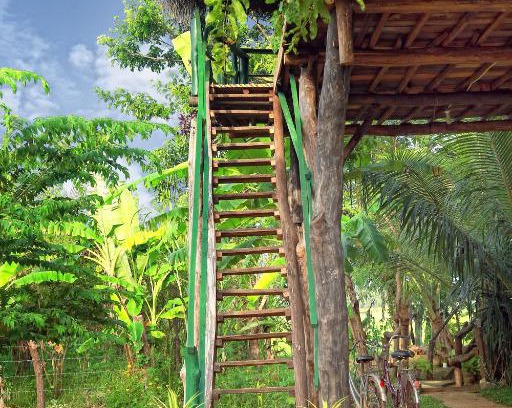 Yodakandiya Cabina | Best Lake View tree house