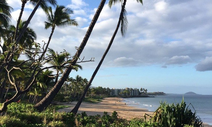 Kihei Condominio | La mejor unidad, la mejor ubicación con vista al mar! ¡Unidad final totalmente renovada y completamente nueva!