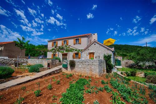 Zena Glava Apartamento | Betini Apartments - Authentic Island Escape