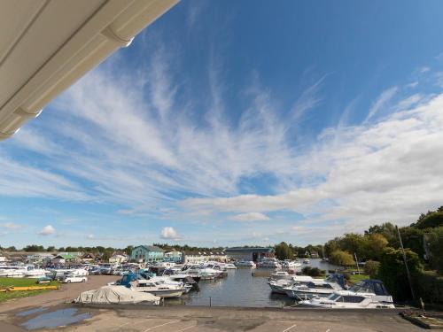 Wroxham Casa | Bewick Swan - Ukc2111