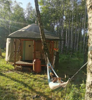 Dubicze Cerkiewne Casa | Biały Las Jurta