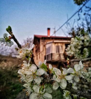 Cigoitia Casa | BIDEARTEAN, Caserío vasco, Recién reformado