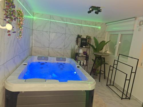 Aulnoye-Aymeries Casa | bienvenu au SPA ELENA