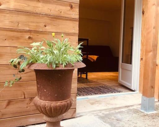 Pieusse Apartamento | Bienvenue « À l’ombre du figuier »