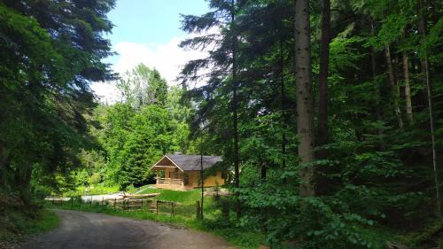 Lesko Cabina | Bieszczady Domek Nad Stawem