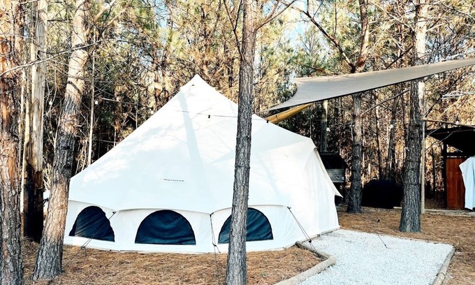 Conway Alquiler De RV | 🐻 Big Bear Glamping | Spacious Forest Retreat 🌲🔥 Sleeps 8