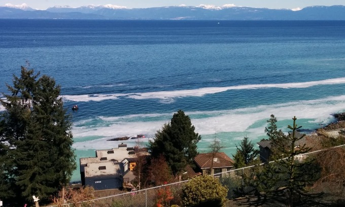 Regional District of Nanaimo Apartamento | Suite panorámica de lujo con vista al mar y vista grande