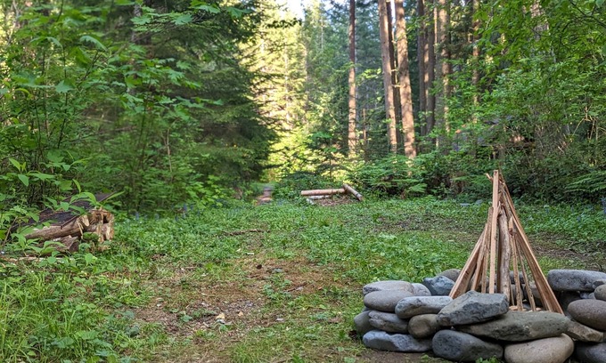 Ashford Alquiler De RV | Bigfoot's Bivvy Tent Site ~8 mi to Mt. Rainier Natl Park Nisqually Entrance