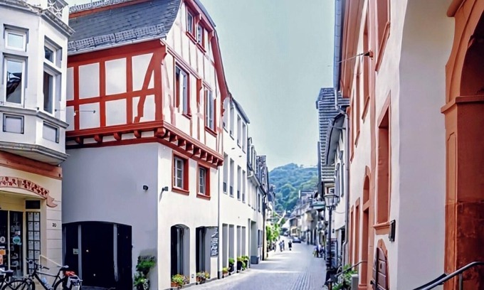 Mainz-Bingen Apartamento | Bike & Hike- up to 6 Pers- starting your active days in the Middle Rhine Valley