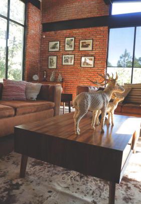 San Miguel Regla Casa | BIMBA en el corazón del bosque, Huasca