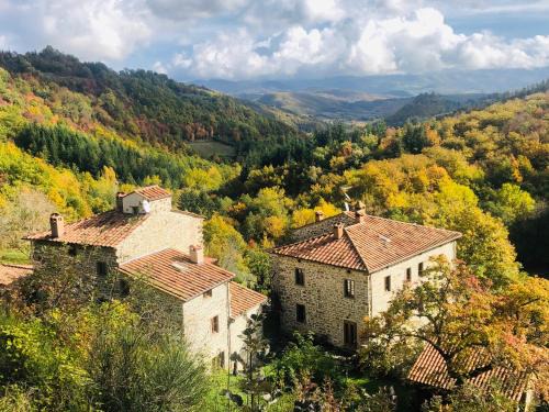 Caprese Michelangelo Casa | Bio Agriturismo Il Vigno