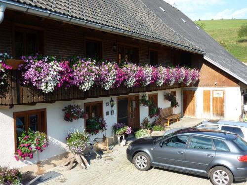 Breitnau Casa | Biobetrieb Lippenhof