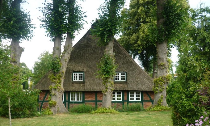 Bordesholm Apartamento | Bioland Hof Bockmann