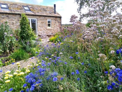 Juniper Apartamento | Birch Bothy, peaceful rural retreat