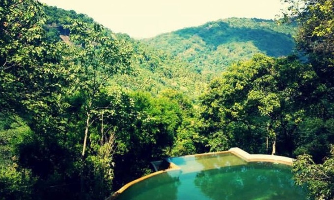 Alawwa Hotel | Birds Park Polgahawela
