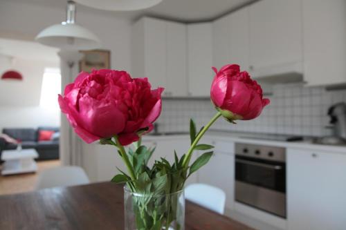 Grossgmain Apartamento | Birkenhof