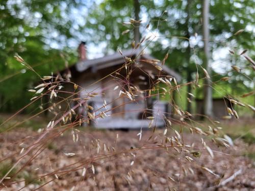 Linderod Casa | Bjärnhultsgårdens stugor
