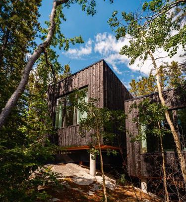Whitehorse Casa | Black Spruce - Yellow Door