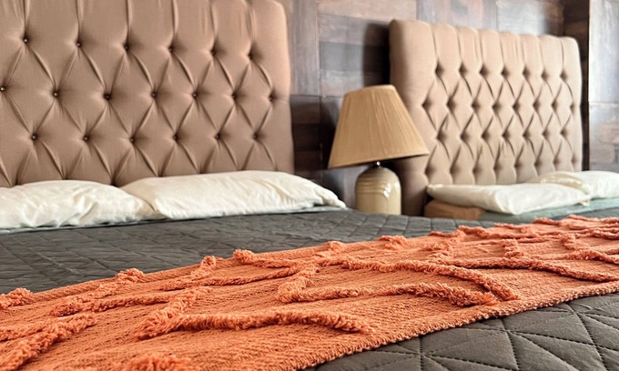 Centro histórico de Mazatlán Hotel | BLACK TREE HOTEL BOUTIQUE