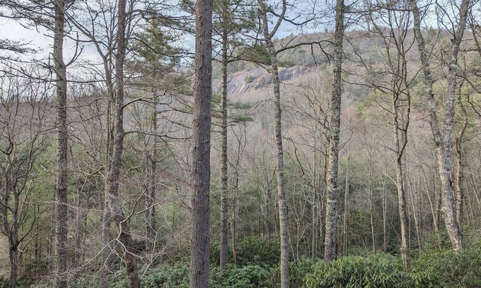 Glenville Cabina | BlackBeary Hideaway For Fun