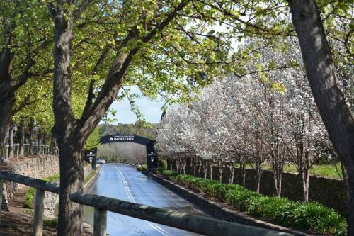 Tanunda Casa | Blackbird Cottage - Stunning views & farm animals