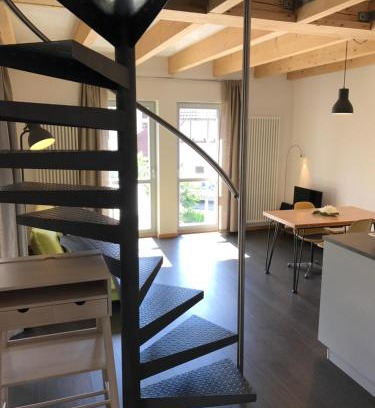 Wiesenbronn Apartamento | Blackbird´s Nest