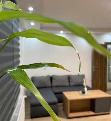 Novi Sad Apartamento | Blanco 5