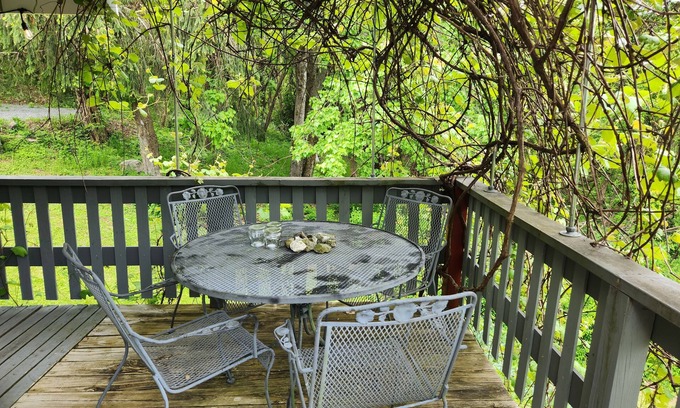 Stanley Casa | Quiet Vintage Getaway in the Blue Ridge Mountains.