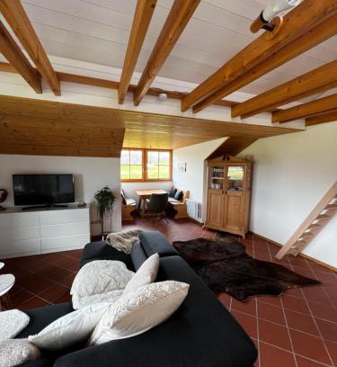 Stein Casa | Blick Falkenstein