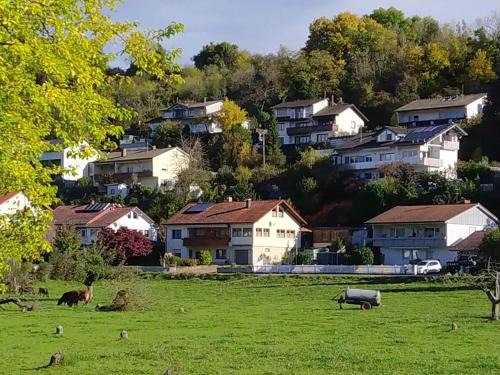 Wutoeschingen Apartamento | Blick ins Wutachtal