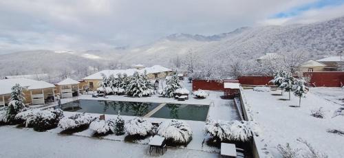 Gabala Hotel | Bliss Hotel & Restaurant