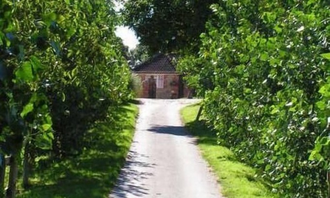 Potterne Cama Y Desayuno | Blounts Court Farm