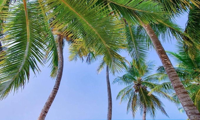 Vashafaru Casa | Blue Coral Vashafaru