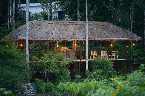 Vayittiri Otro | BLUE CREEK resort