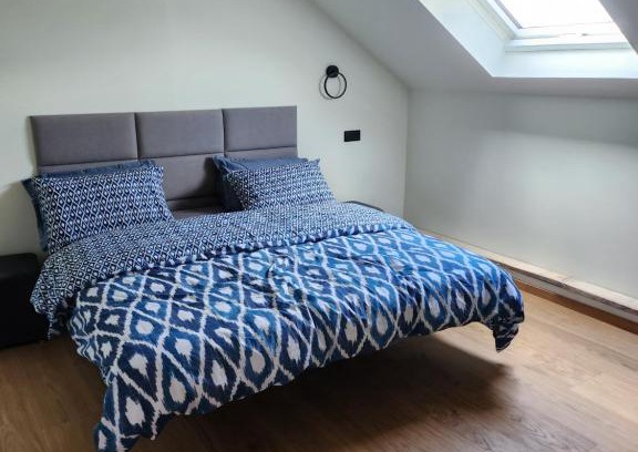 Augustow Apartamento | Blue Door Apartment Loft