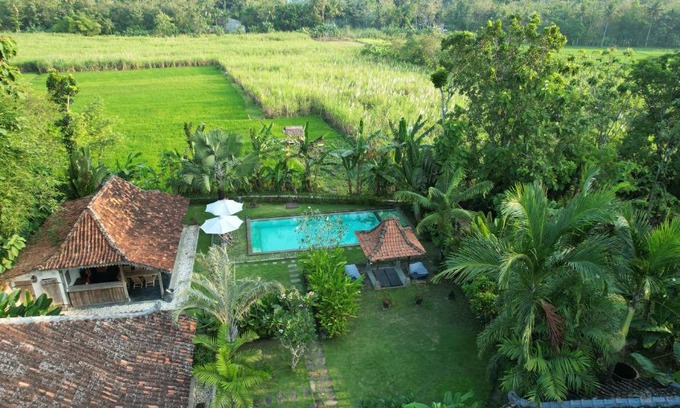 Bangunjiwo Casa | Blue Garden Yogyakarta