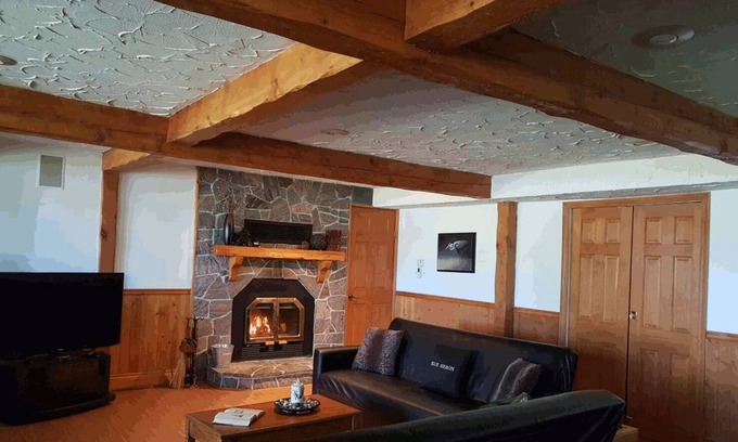 Lake of Bays Apartamento | Blue Heron Cove c / w Algonquin Pass y raquetas de nieve. ¡Traiga a su mascota gratis!