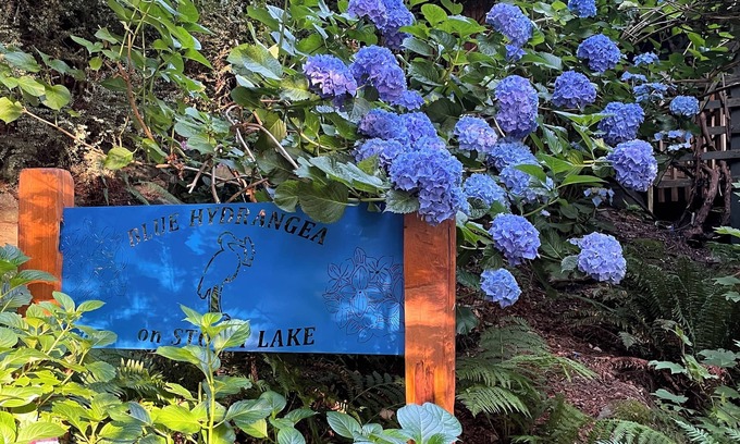 Three Lakes Casa | BLUE HYDRANGEA LAKEESET RETREAT SNOHOMISH WA cerca de Seattle, Puget Sound