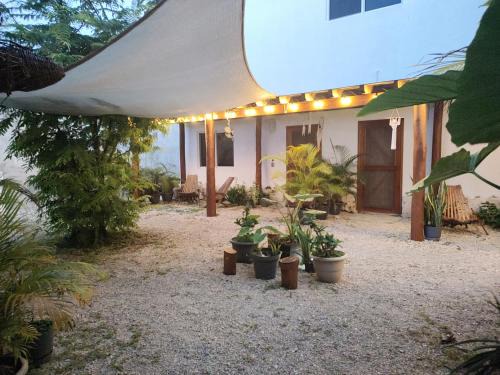 Majahual Apartamento | Blue Mahahual