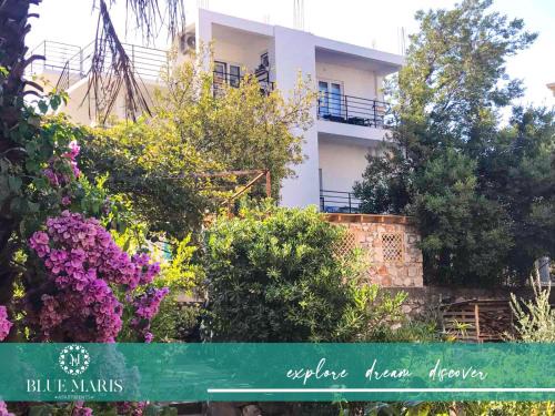 Sutomore Casa | Blue Maris