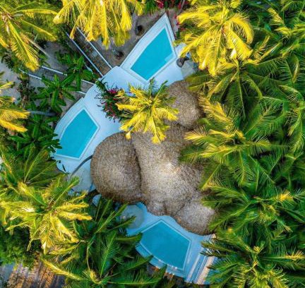 Jambiani Hotel | Blue Moon Resort