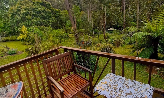 Hazelbrook Apartamento | Blue Mountains studio, wild bush garden, pets ok, discounts for over 6 day stays